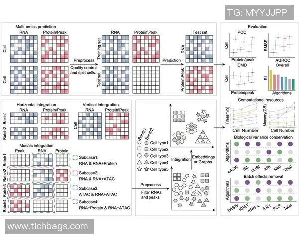 LNG在世界冠军杯中的心理素质分析与表现评估 LNG在世界冠军杯中的心理素质分析与表现评估