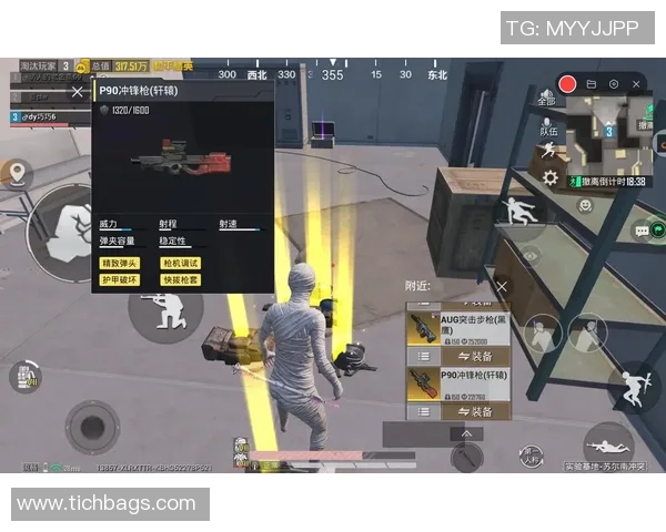 张芳独家揭秘和平精英游戏技巧与心得分享助你轻松上分